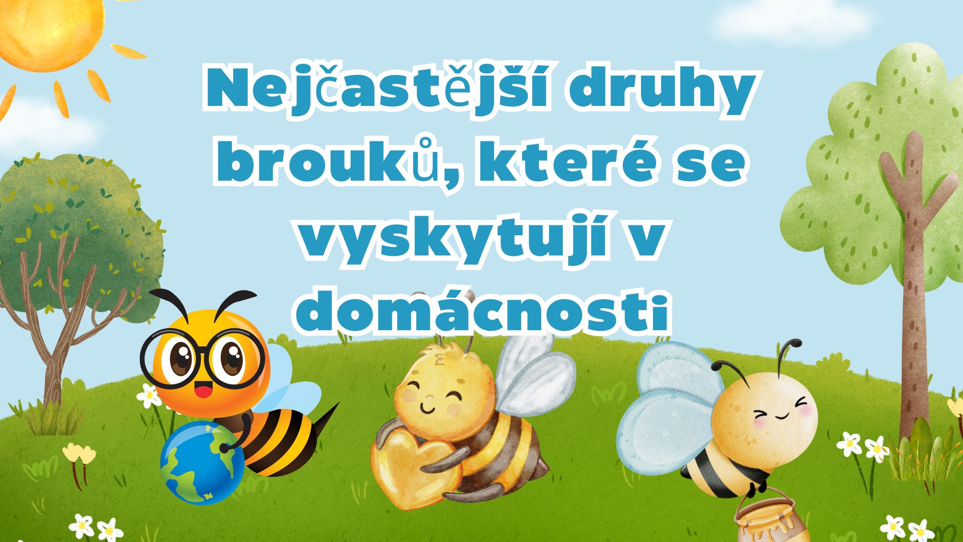 Nejčastější druhy brouků, které se vyskytují v domácnosti Nejčastější druhy brouků, které se vyskytují v domácnosti